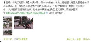 碧桂园爆料事件视频播放,揭秘背后真相与争议