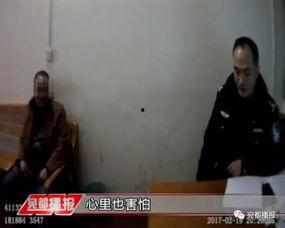 新野县新闻爆料事件始末,真相与争议的交织